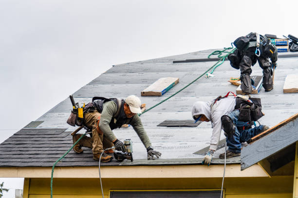 Professional Storm Damage Roof Repair technician working in Laurel Hill, NC